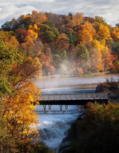 waterfall and fall foliage