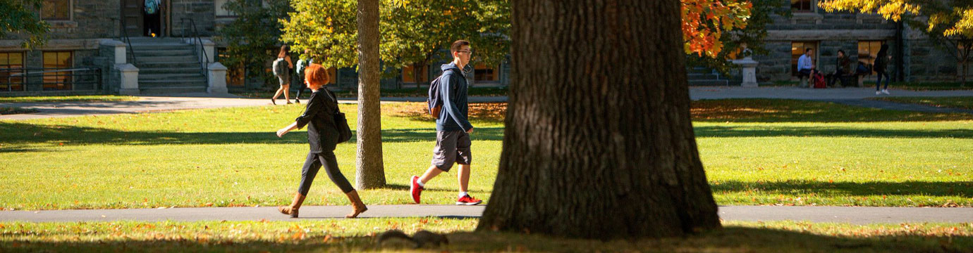 Students crossing paths on a walkway, with the trunk of a large tree in the foreground.