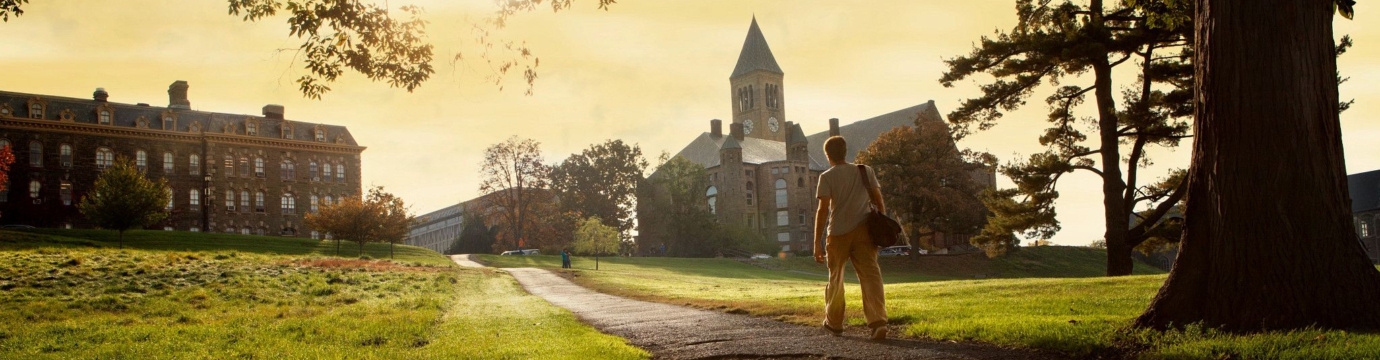 person walking up a hill towards a college campus