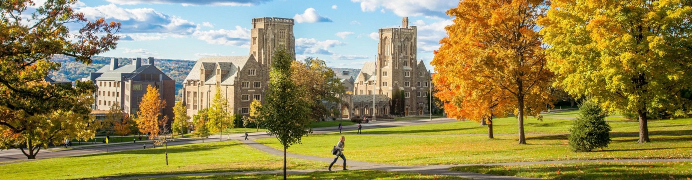 Law School campus in fall