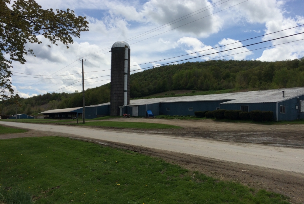 a photo of a low-slung blue barn with a tall silo under a blue sky in spring.