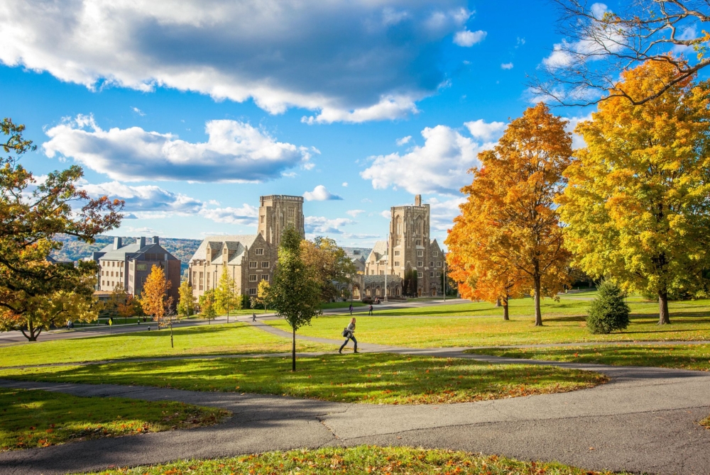 Law School campus in fall