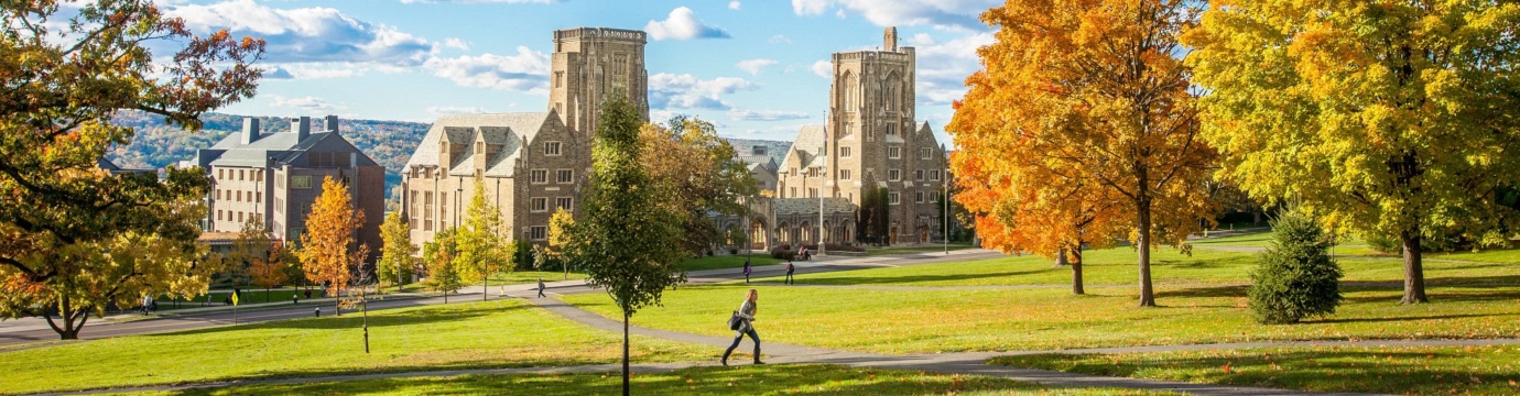 Law School campus in fall