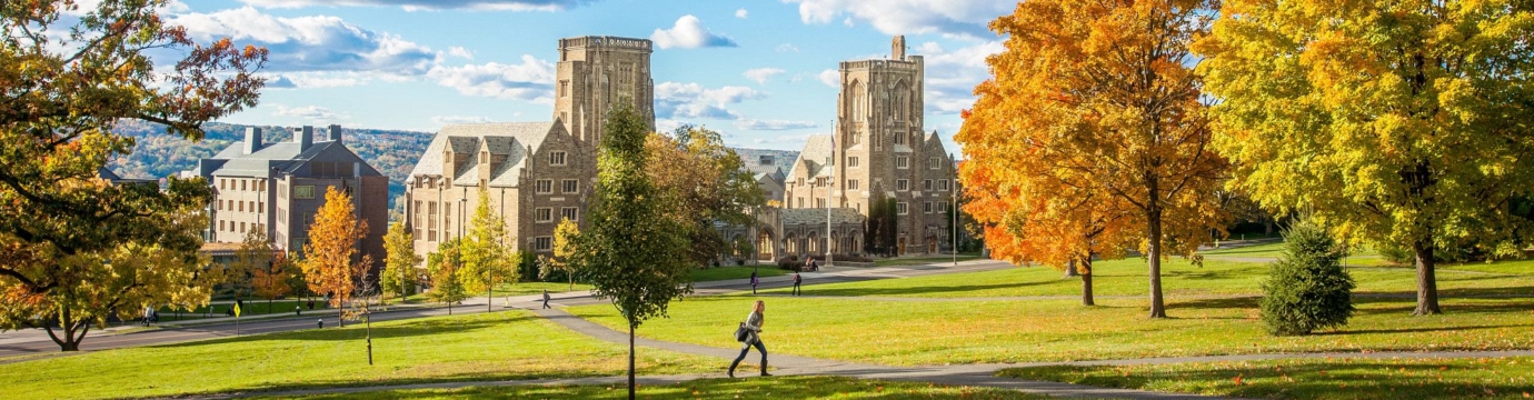 Law School campus in fall