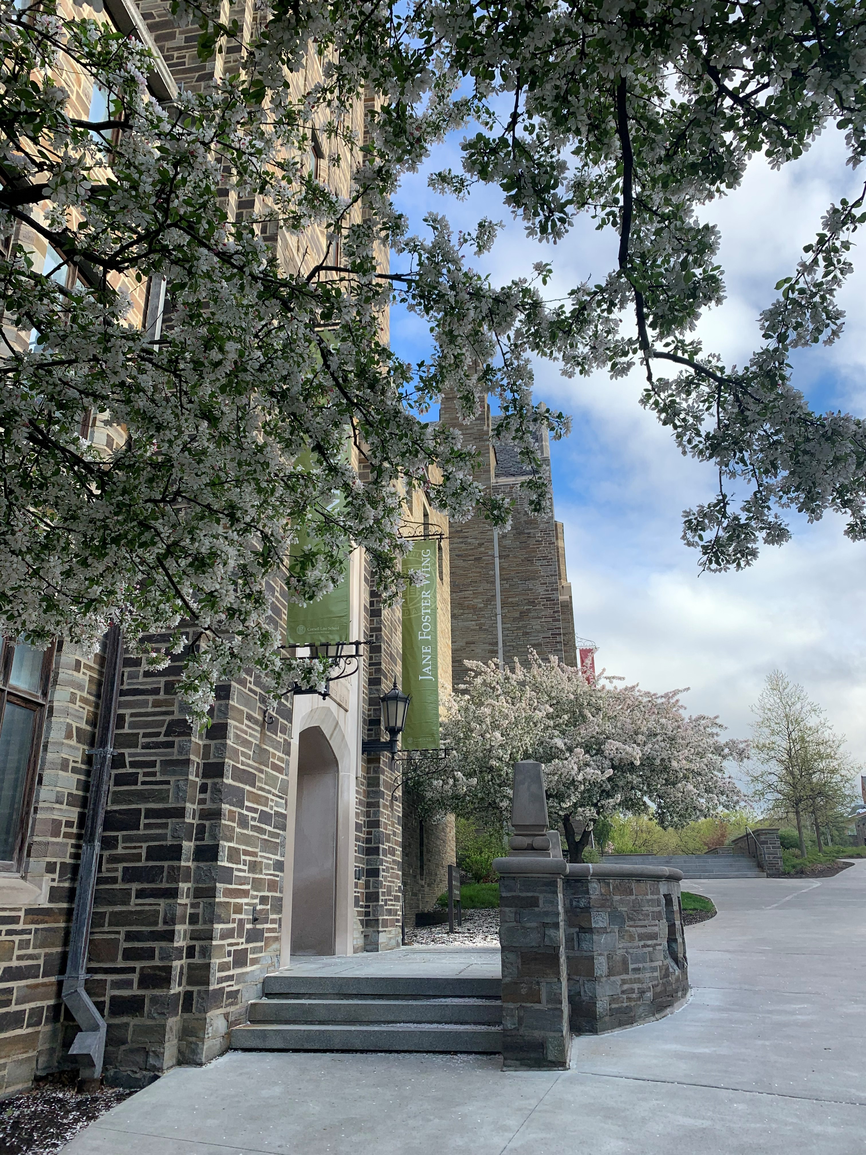 Law school entrance.