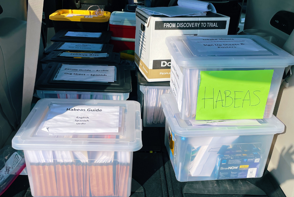 Several large plastic totes full of files and paperwork are sitting in a car trunk.