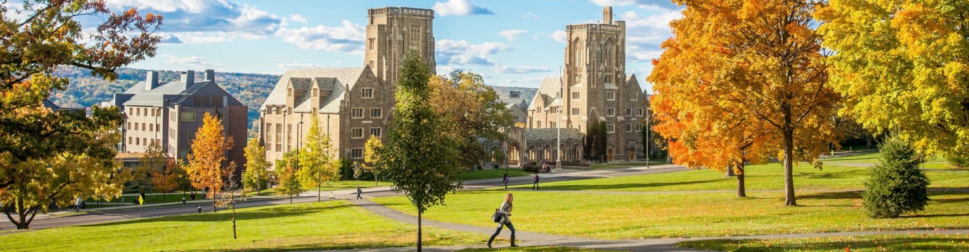 Law School campus in fall